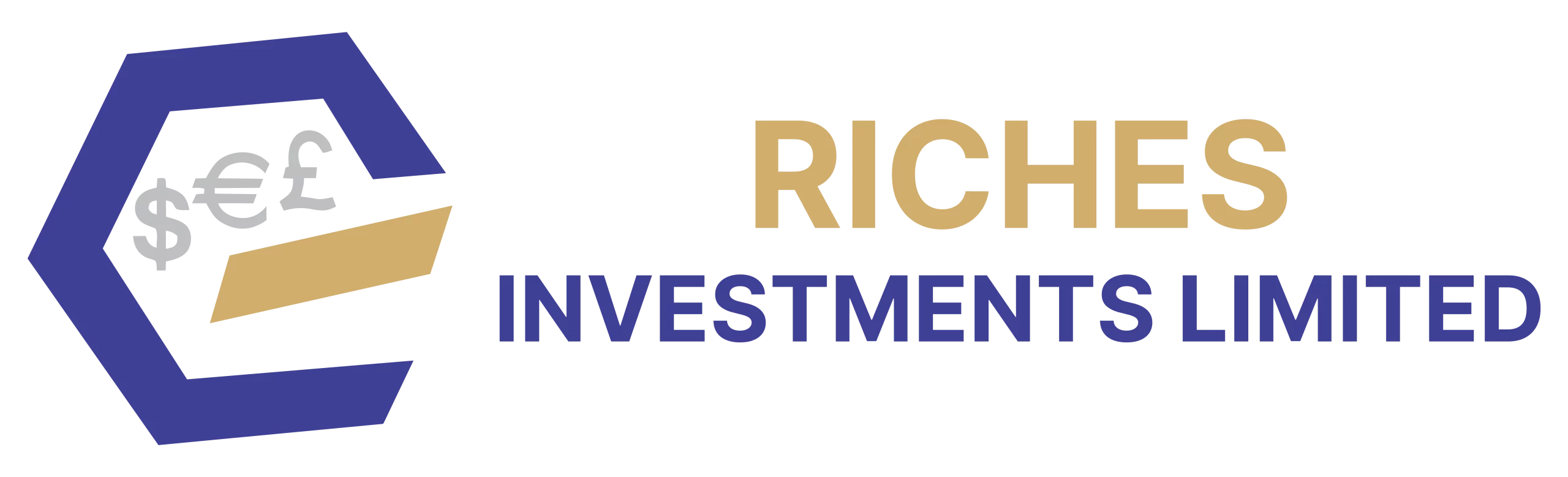 Riches Investments Limited - Investment | Corporate investment | Project Finance | Capital Funding | International Project Finance | Bank Guarantee